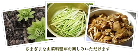 蔵王温泉民宿組合:民宿 庄子
