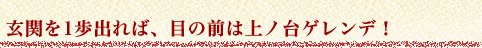 蔵王温泉民宿組合:エコーハウス