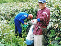 蔵王温泉民宿組合:宿と食の利久